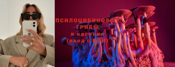 Альфа ПВП Карталы
