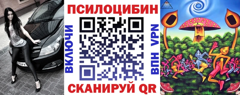 Купить  Красновишерск  Галлюциногенные грибы прущие грибы 